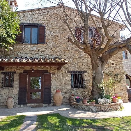 All'Ombra Di San Damiano Assisi Dış mekan fotoğraf