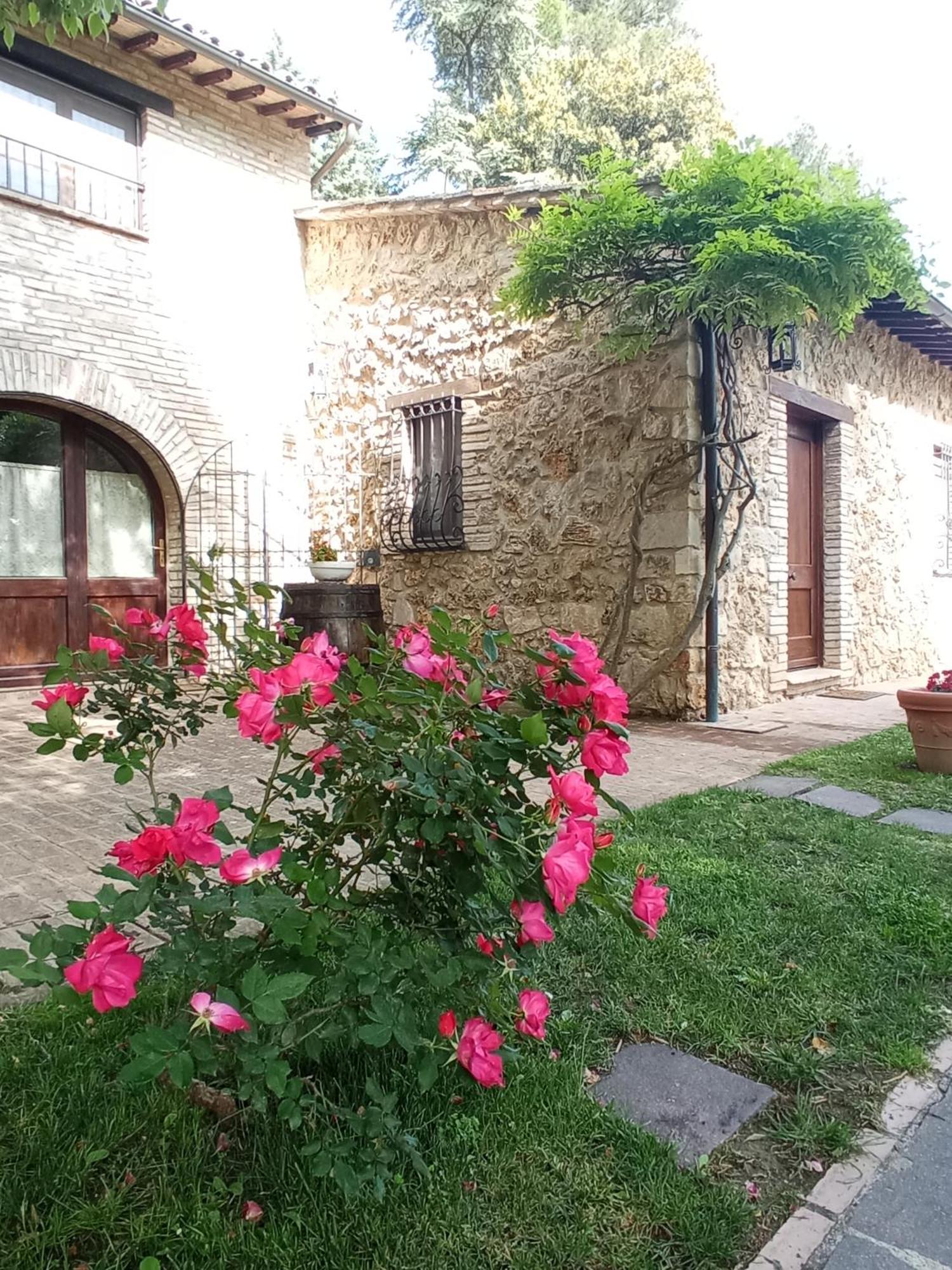 All'Ombra Di San Damiano Assisi Dış mekan fotoğraf