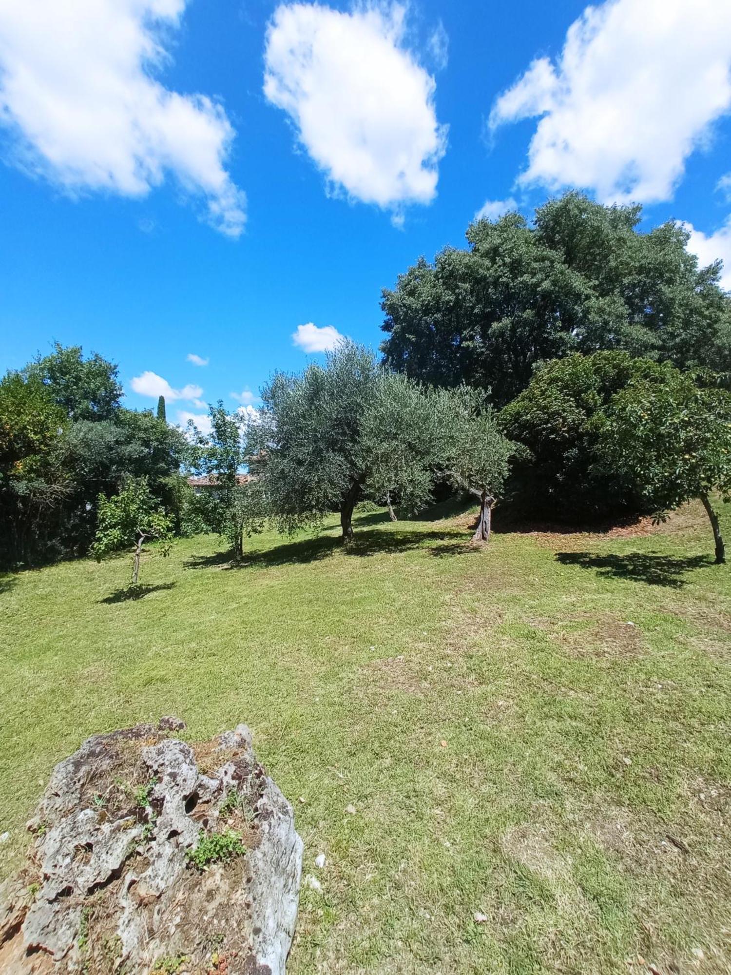 All'Ombra Di San Damiano Assisi Dış mekan fotoğraf