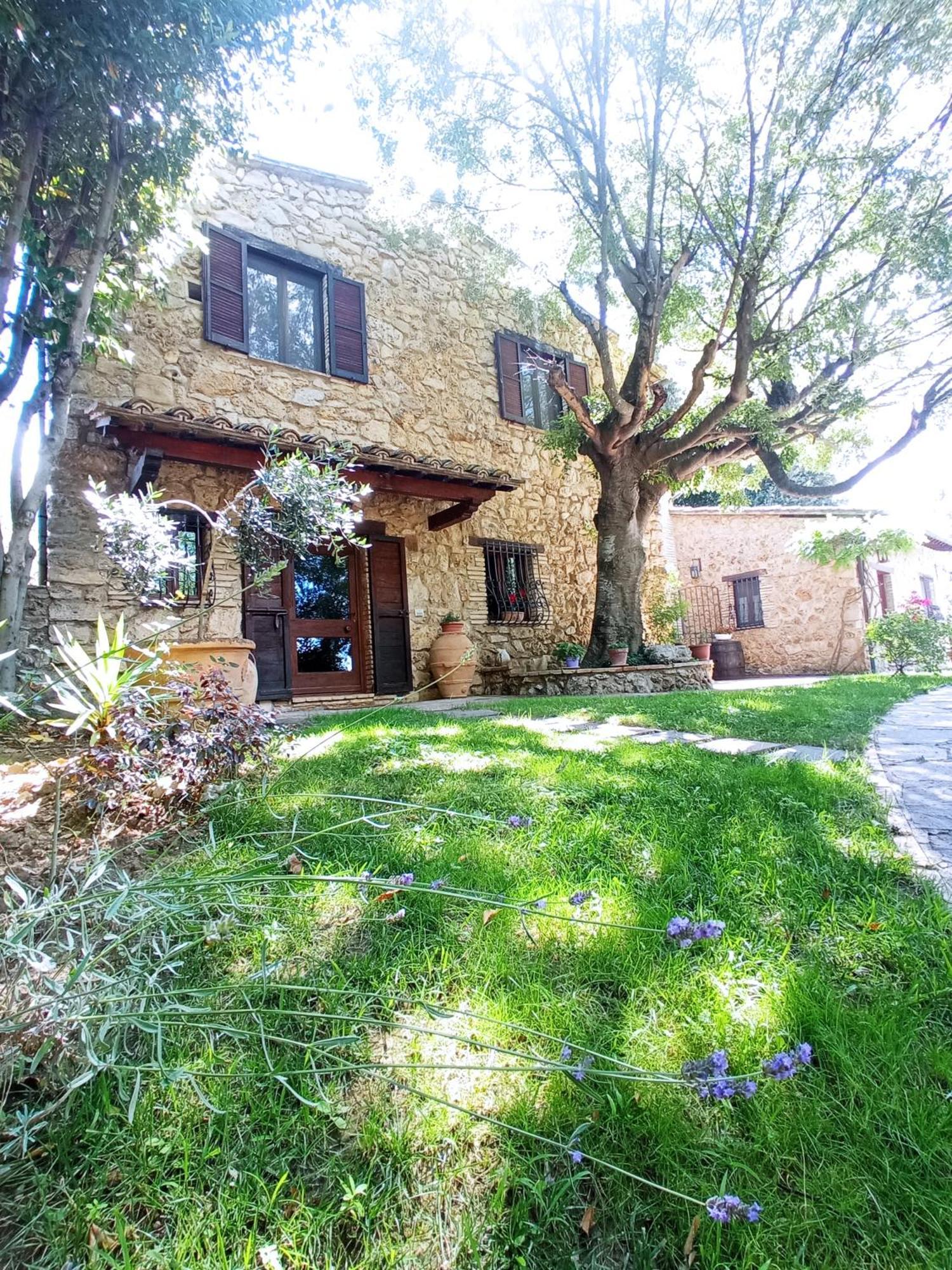All'Ombra Di San Damiano Assisi Dış mekan fotoğraf