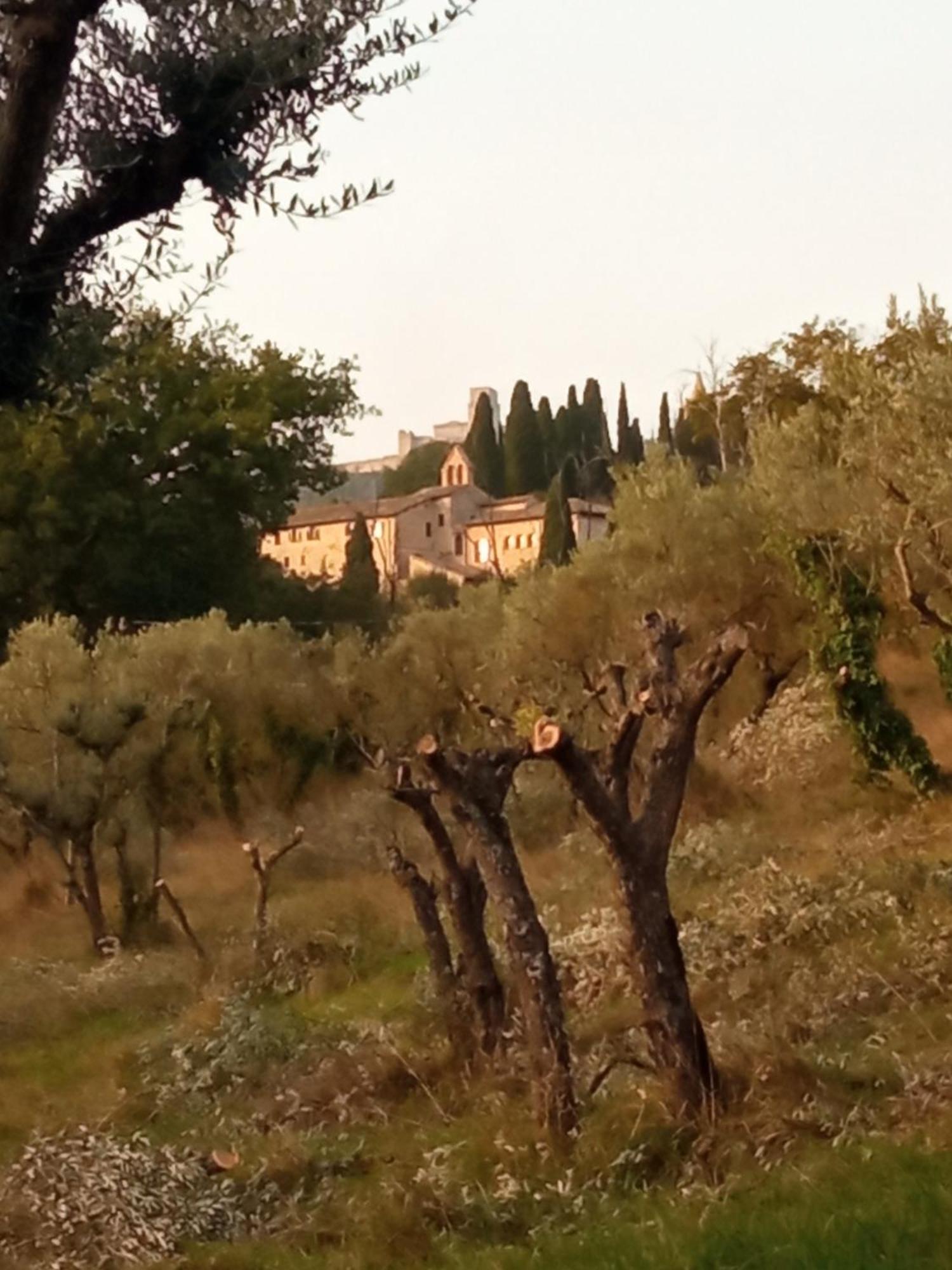 All'Ombra Di San Damiano Assisi Dış mekan fotoğraf