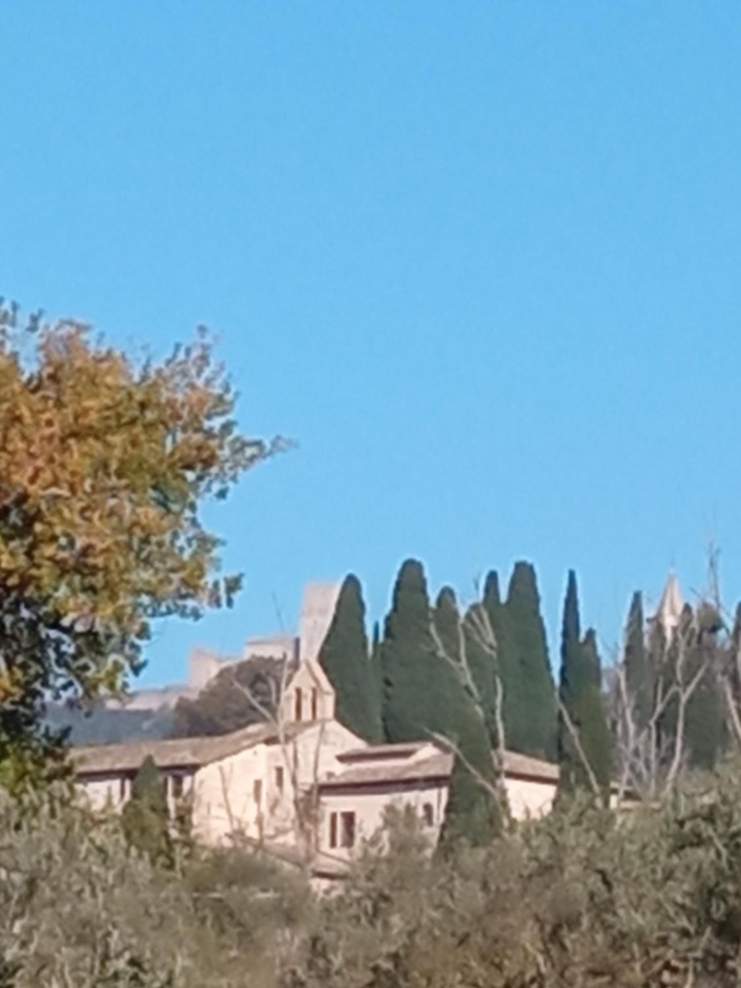 All'Ombra Di San Damiano Assisi Dış mekan fotoğraf
