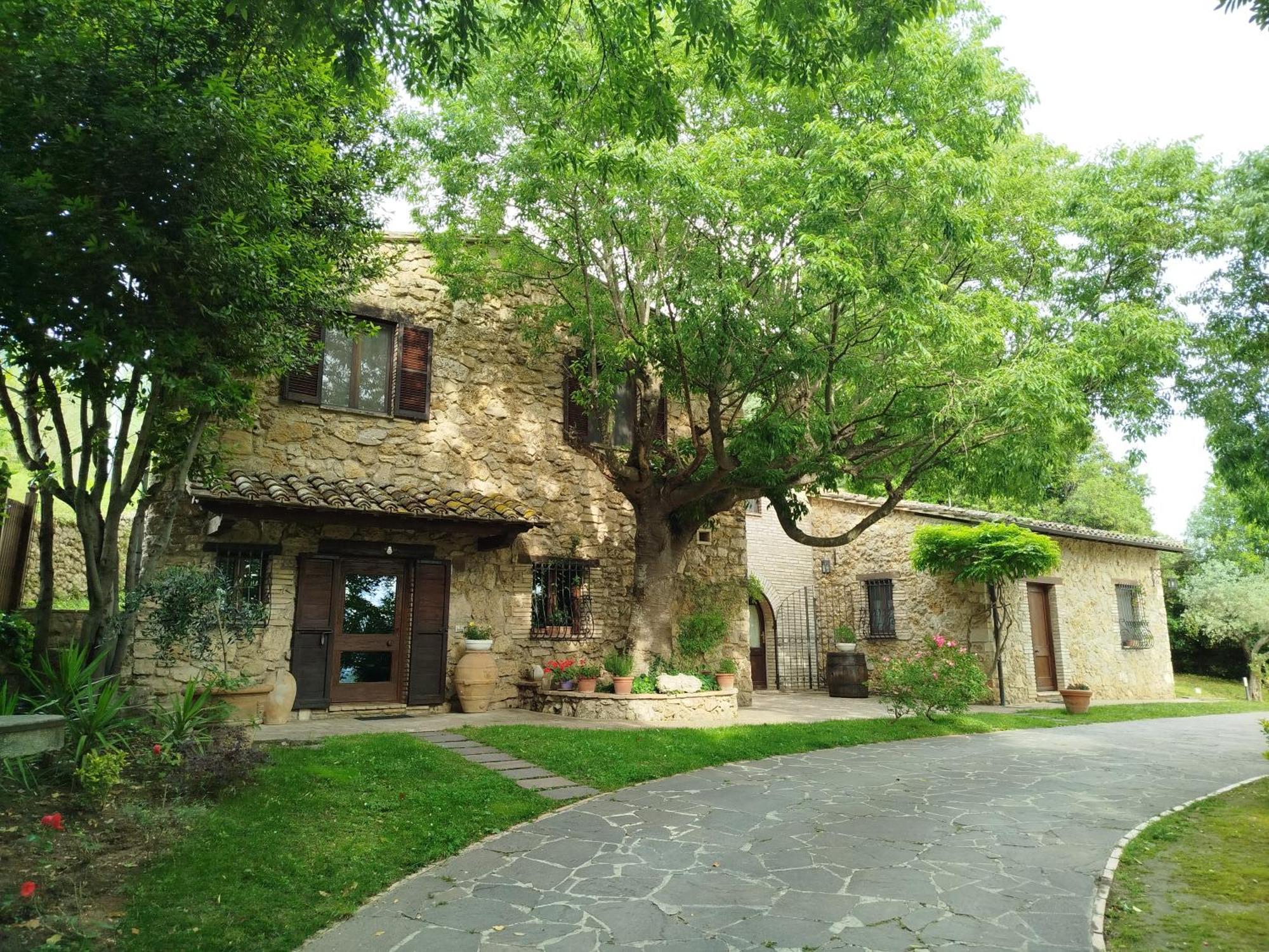 All'Ombra Di San Damiano Assisi Dış mekan fotoğraf